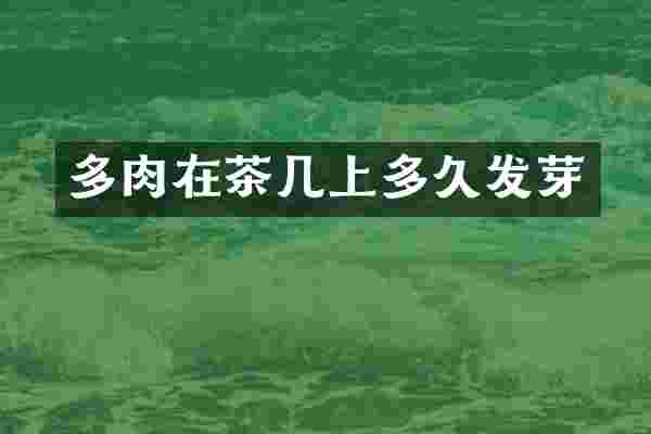 多肉在茶几上多久发芽