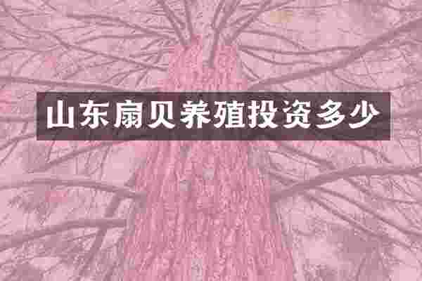 山东扇贝养殖投资多少