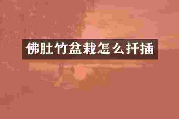 佛肚竹盆栽怎么扦插