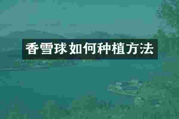 香雪球如何种植方法