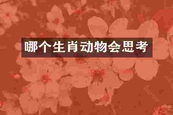 哪个生肖动物会思考
