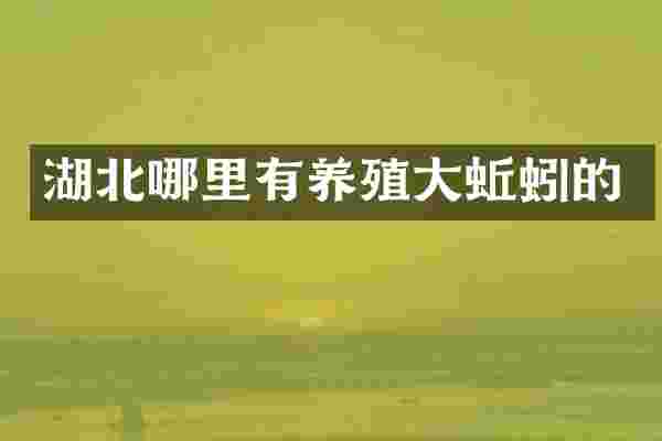 湖北哪里有养殖大蚯蚓的