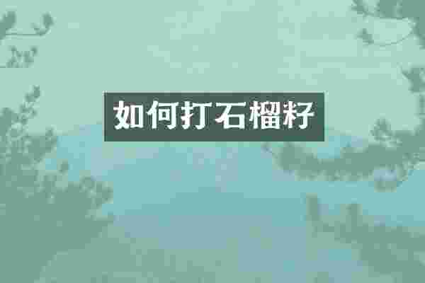 如何打石榴籽