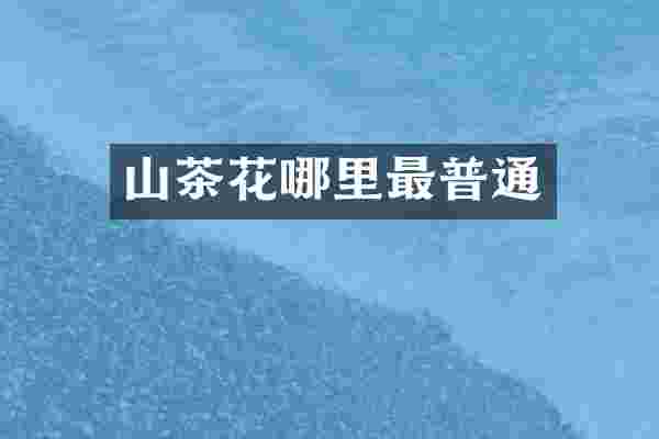 山茶花哪里最普通