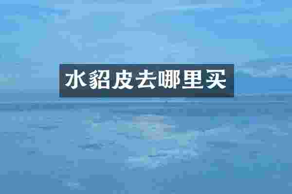 水貂皮去哪里买