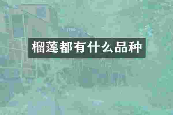 榴莲都有什么品种
