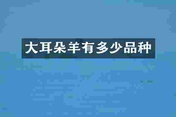 大耳朵羊有多少品种