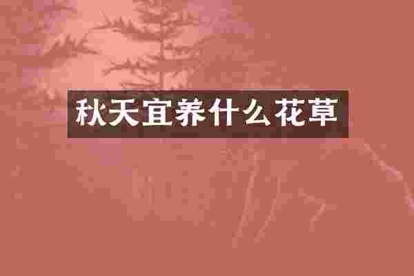 秋天宜养什么花草
