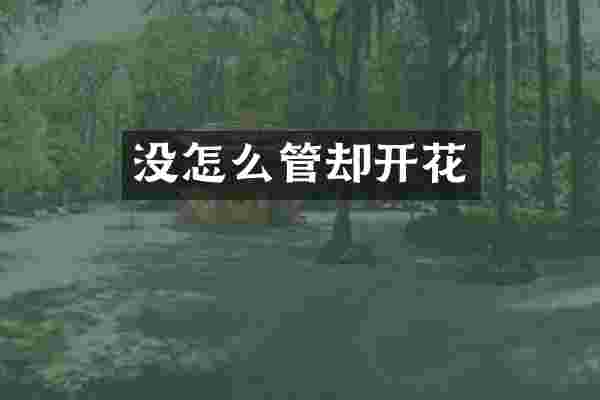 没怎么管却开花