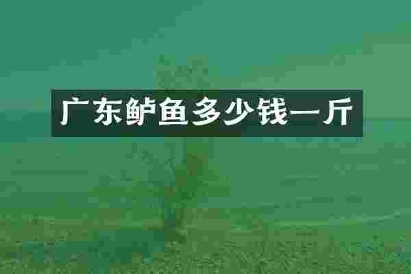 广东鲈鱼多少钱一斤