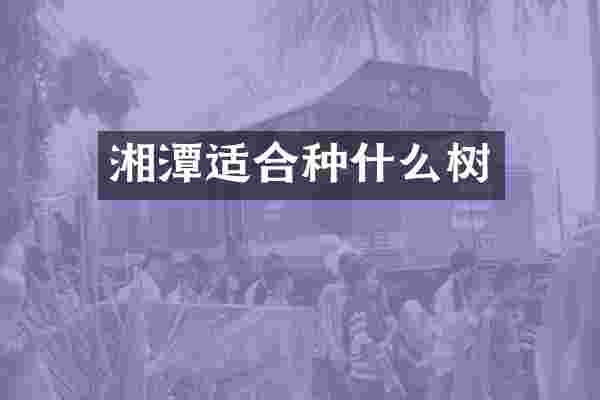 湘潭适合种什么树