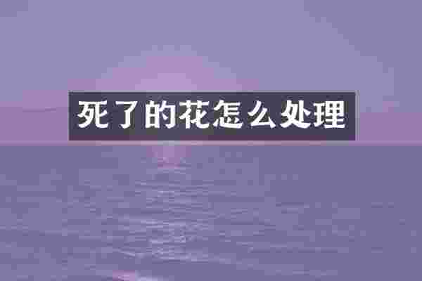 死了的花怎么处理