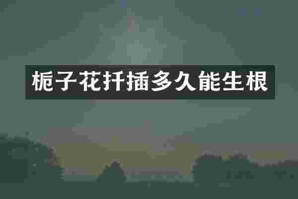 栀子花扦插多久能生根