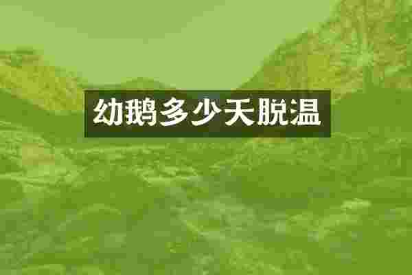幼鹅多少天脱温