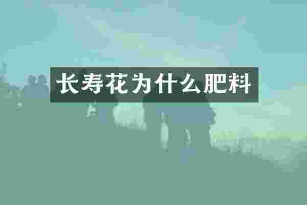 长寿花为什么肥料