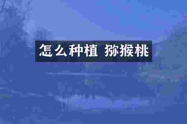 怎么种植 猕猴桃