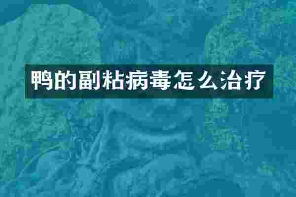 鸭的副粘病毒怎么治疗