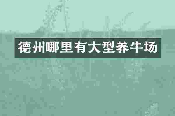德州哪里有大型养牛场