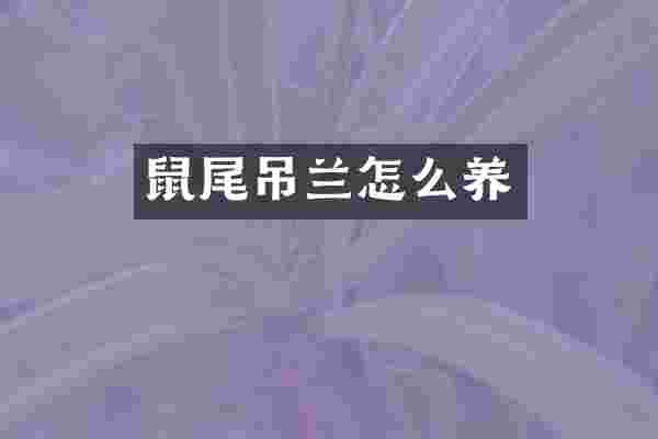 鼠尾吊兰怎么养