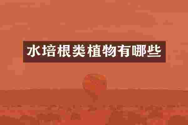 水培根类植物有哪些