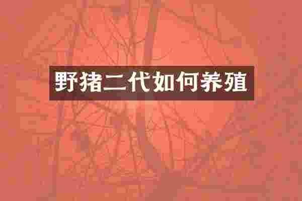 野猪二代如何养殖
