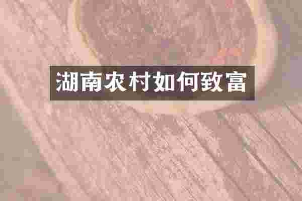 湖南农村如何致富