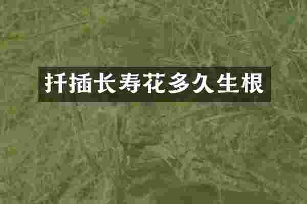 扦插长寿花多久生根