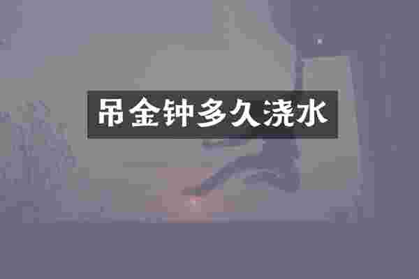 吊金钟多久浇水