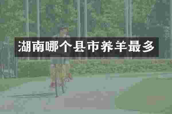 湖南哪个县市养羊最多