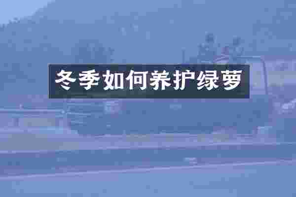 冬季如何养护绿萝