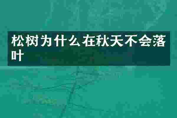 松树为什么在秋天不会落叶