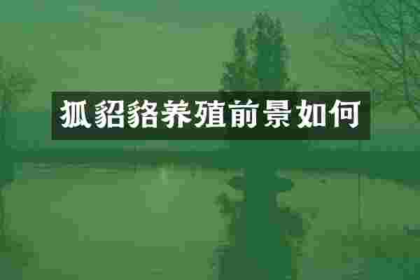 狐貂貉养殖前景如何