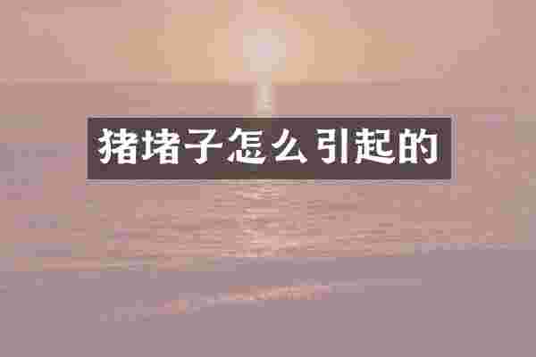 猪堵子怎么引起的