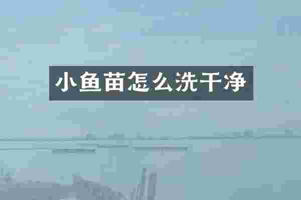小鱼苗怎么洗干净