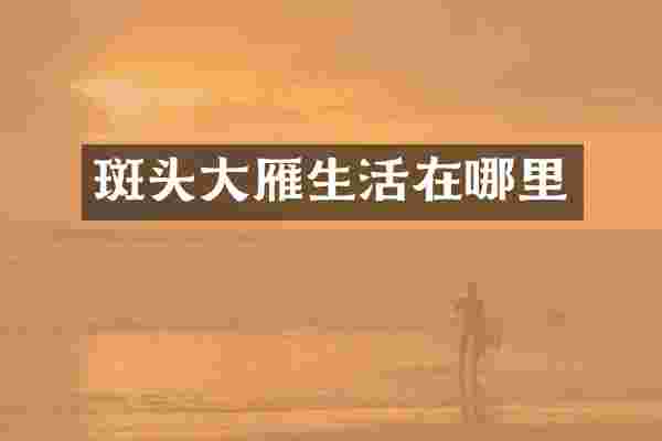 斑头大雁生活在哪里