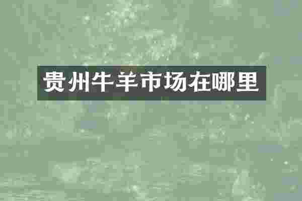 贵州牛羊市场在哪里