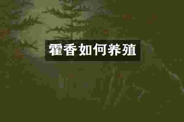 霍香如何养殖