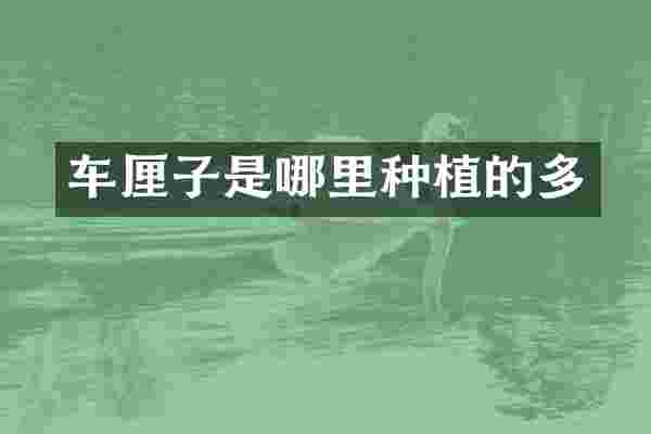 车厘子是哪里种植的多