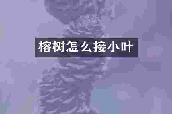 榕树怎么接小叶