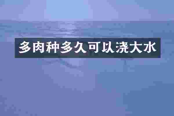 多肉种多久可以浇大水