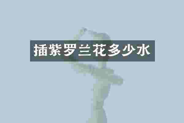 插紫罗兰花多少水