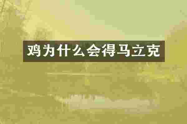 鸡为什么会得马立克