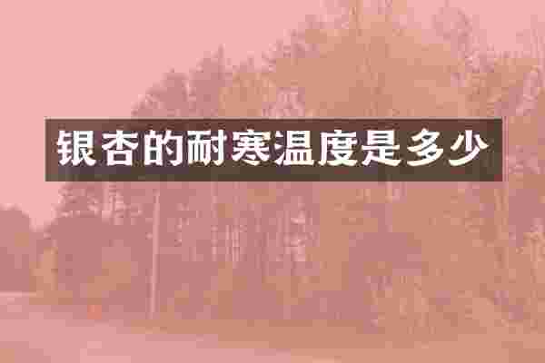 银杏的耐寒温度是多少