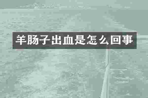 羊肠子出血是怎么回事