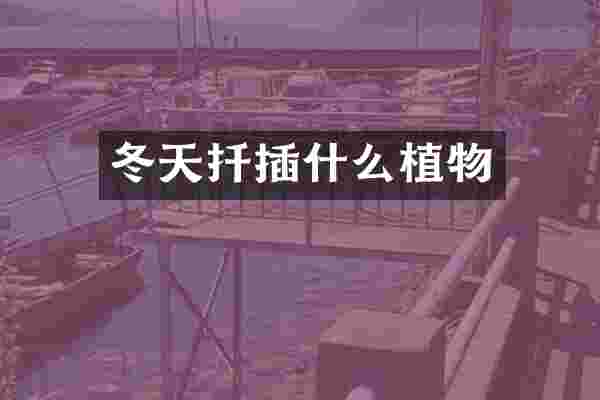冬天扦插什么植物