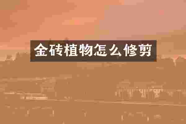 金砖植物怎么修剪