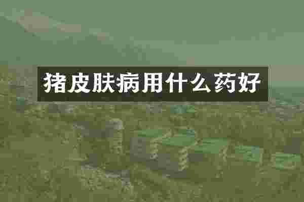 猪皮肤病用什么药好