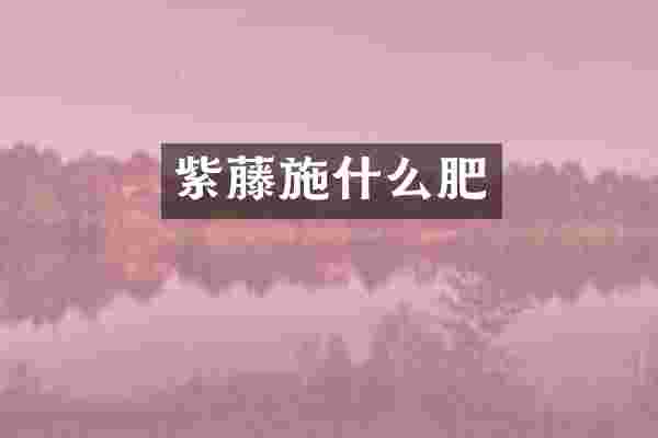 紫藤施什么肥