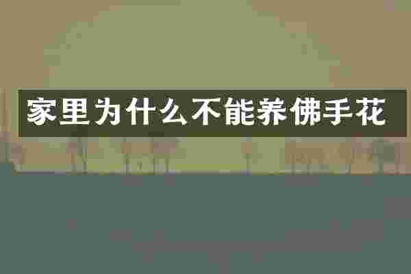 家里为什么不能养佛手花