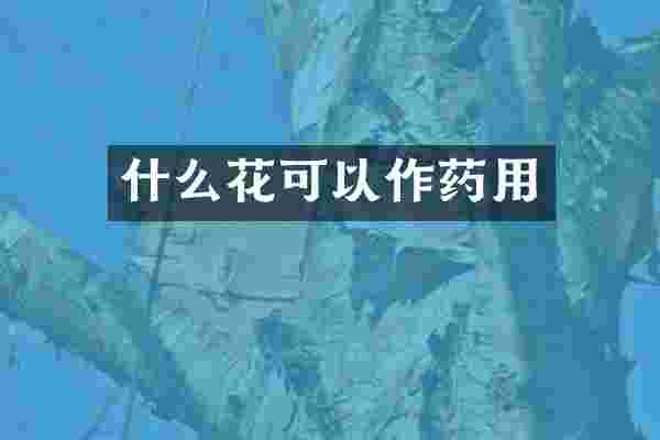 什么花可以作药用
